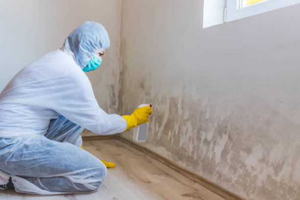 Crawl Space Mold Remediation treatment of floor joists in Schoolcraft